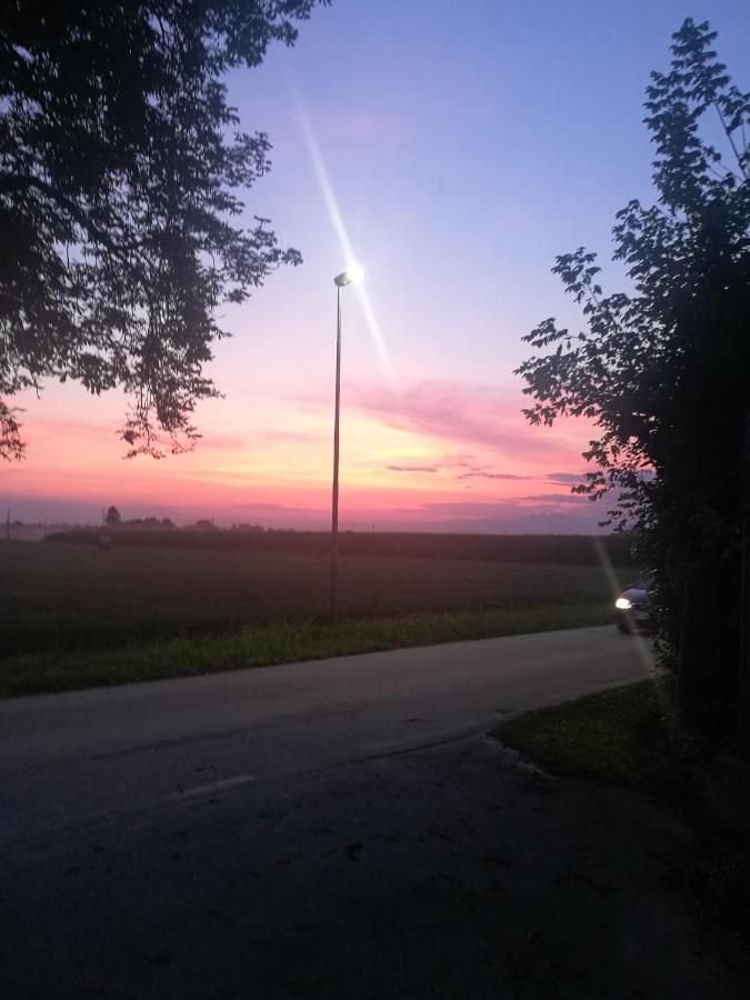 Borgo Dei Conti Della Torre Pensionat Morsano al Tagliamento Eksteriør billede