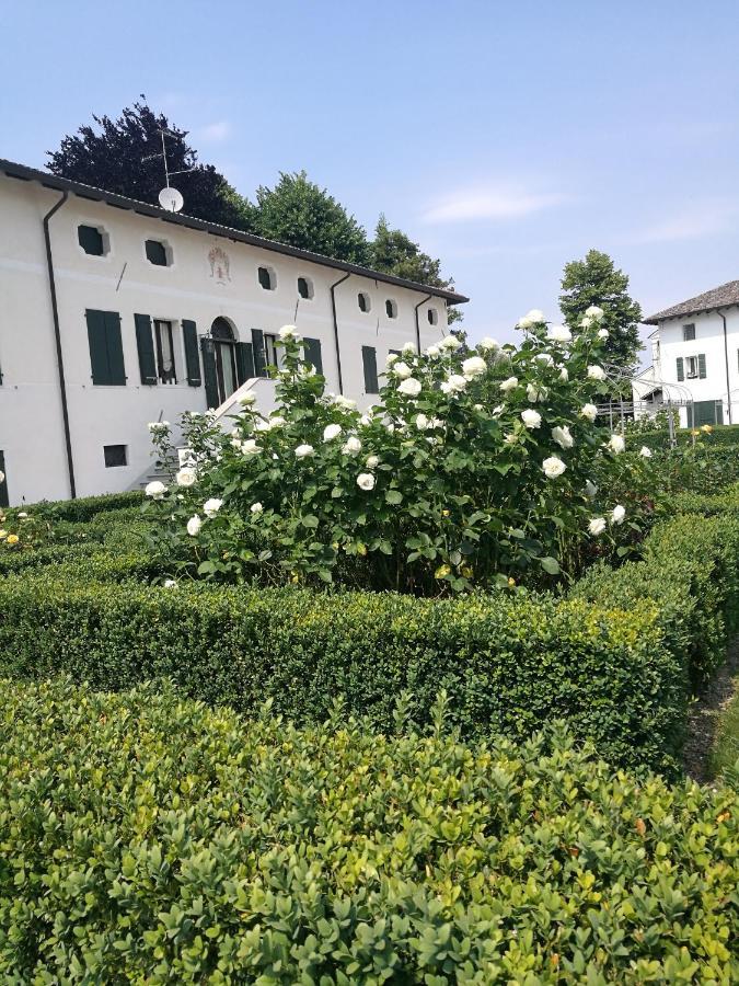 Borgo Dei Conti Della Torre Pensionat Morsano al Tagliamento Eksteriør billede